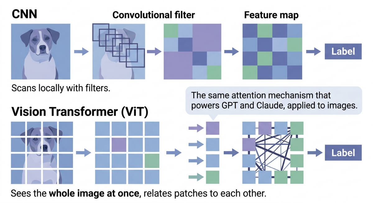 vision transformer ViT image patches attention mechanism